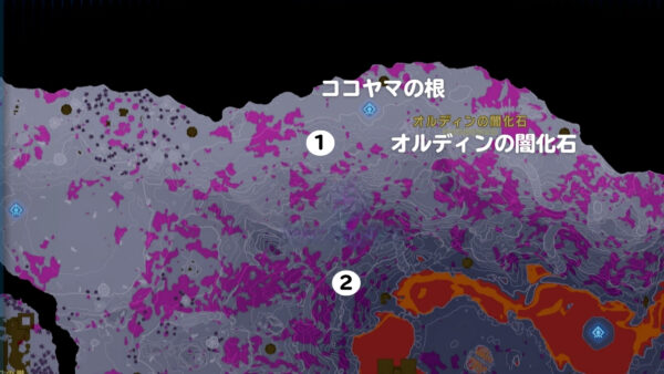 朽ちてない石打ちが出る影の像-詳細マップ１
