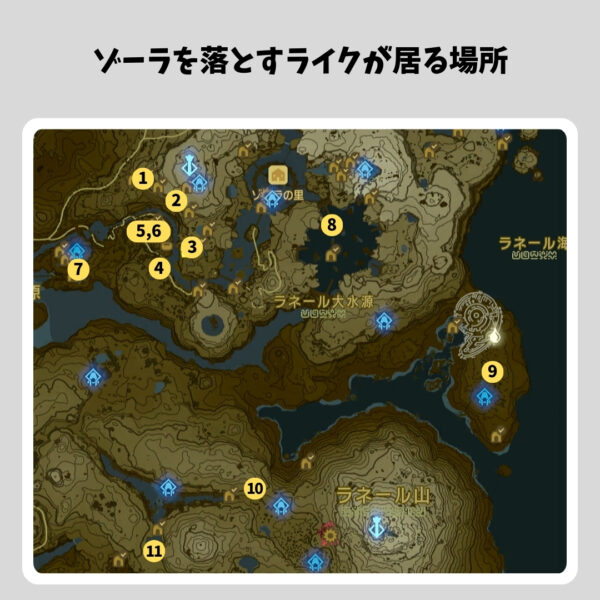 ゾーラの弓と盾-ライクの場所全体マップ