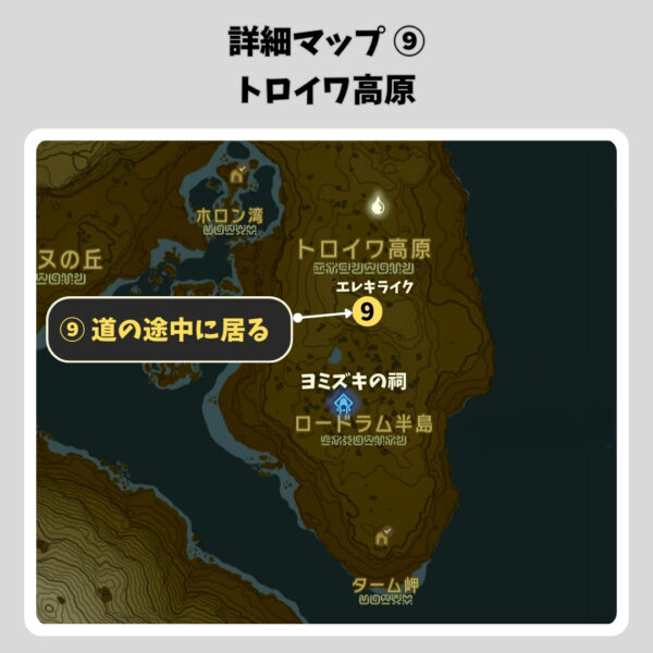 ゾーラの弓と盾-詳細マップ⑨